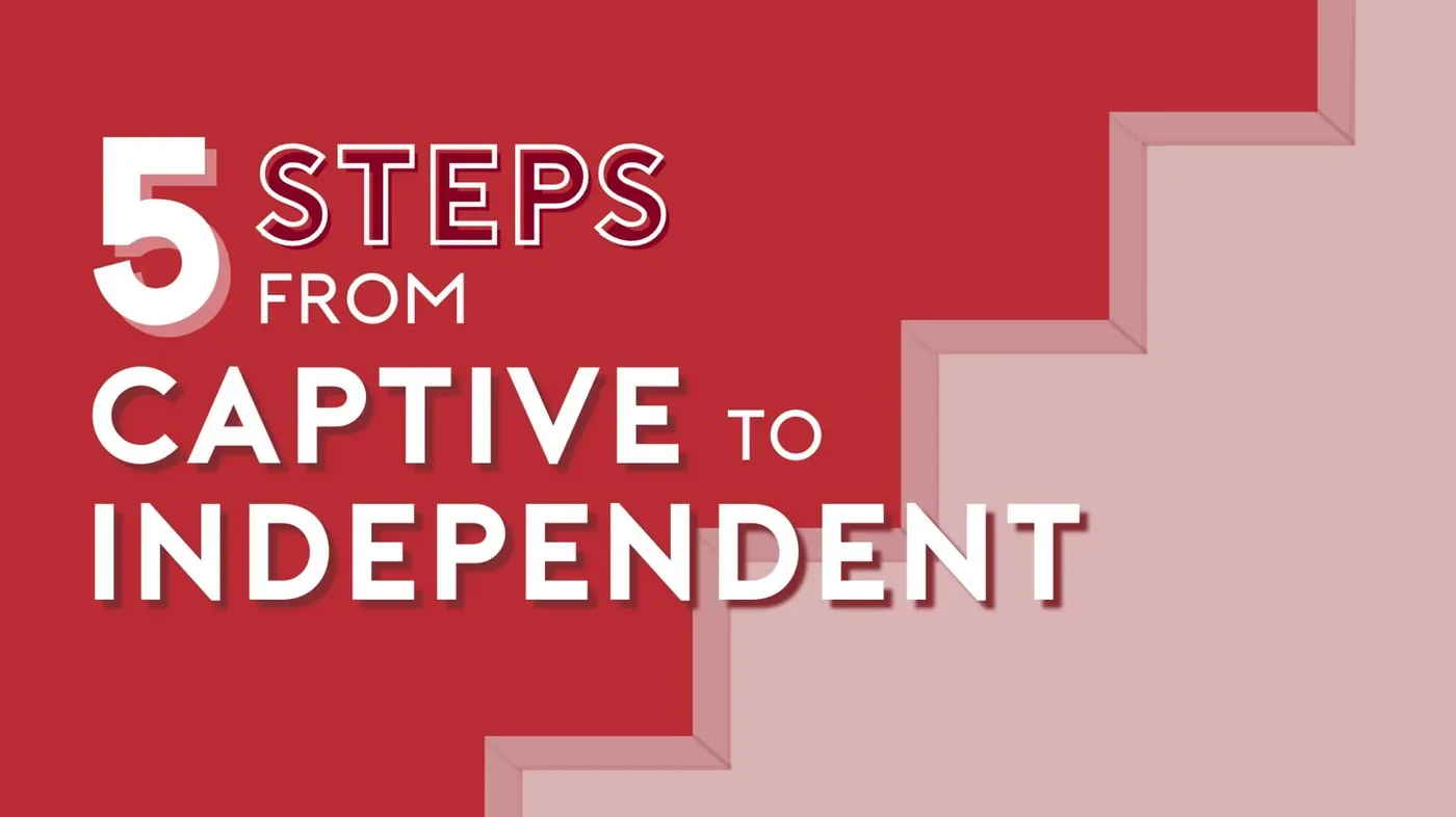 5 Steps from Captive to Independent